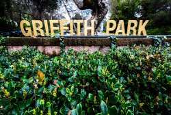 Whenever people visit Los Angeles the most mentioned place to visit in the city is Griffith Park, a foremost place to visit.